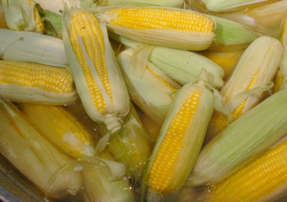 Comidas típicas de Honduras: para chuparse los dedos