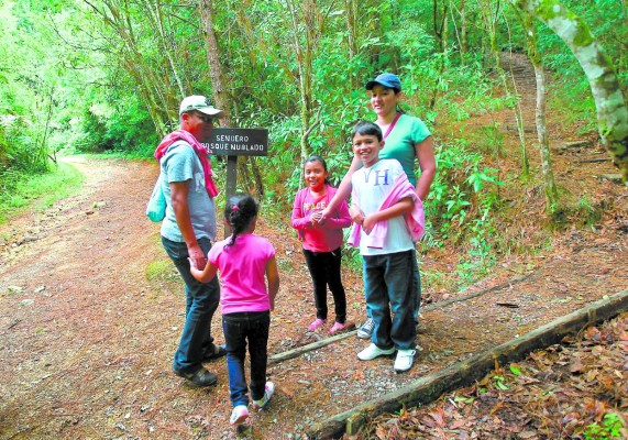 Presupuesto para un mes tiene Fundación Amitigra