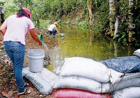El verano arrebata 50% del agua que reciben en Danlí