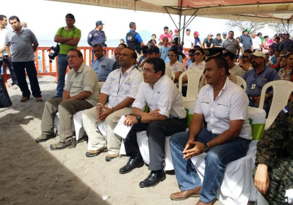 Honduras: Liberan 1,300 tortugas marinas en Golfo de Fonseca&nbsp;&nbsp;