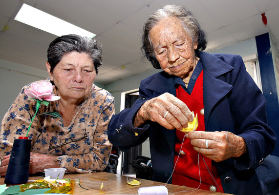 Entre flores, celofán y poemas