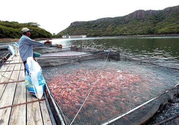Las fotografías más impactantes de 2014