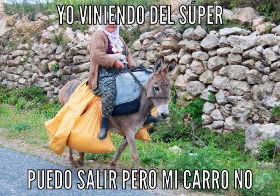 Los divertidos memes por nuevas medidas de circulación en Honduras