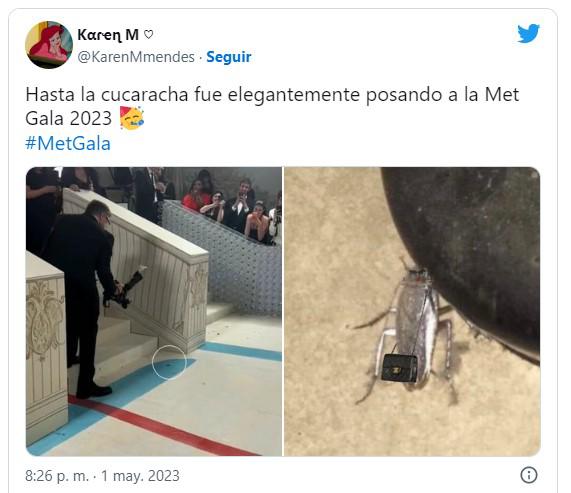 Los imperdibles memes de la cucaracha de la Met Gala 2023