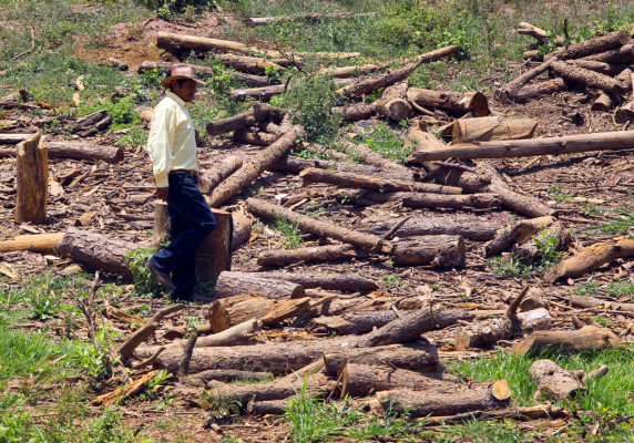Lo más relevante del año en imágenes