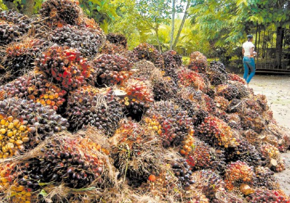 JOH confirma L 1,500 millones al sector agroalimentario