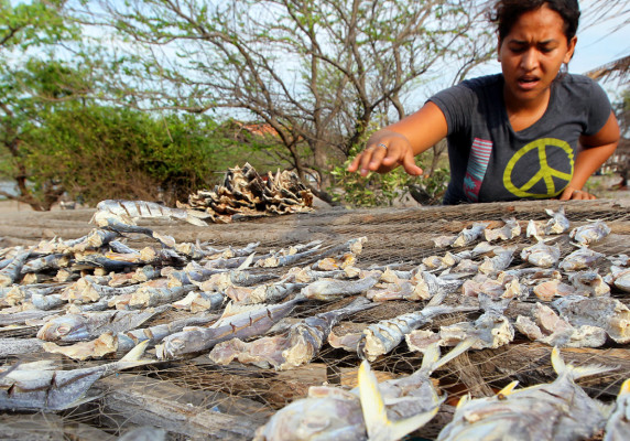 Lo más relevante del año en imágenes