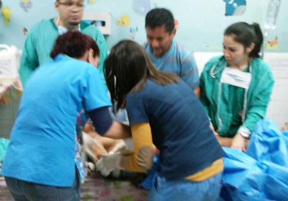 Fiscalía investigará caso de menor que perdió un brazo en un molino en Comayagüela