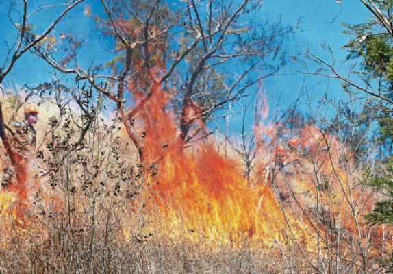 Inician quemas controladas para prevenir incendios