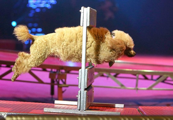 Las Fotos de la Semana en ElHeraldo.hn