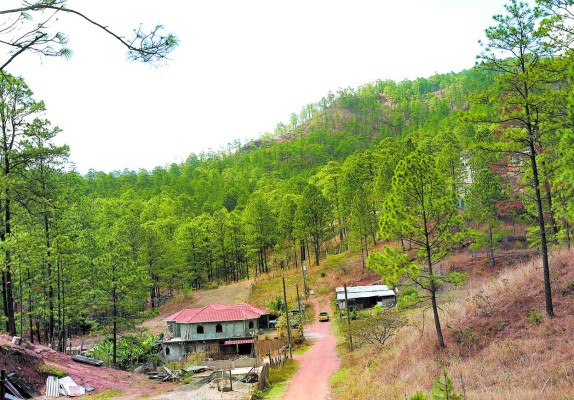Imparable quema de bosques en Honduras