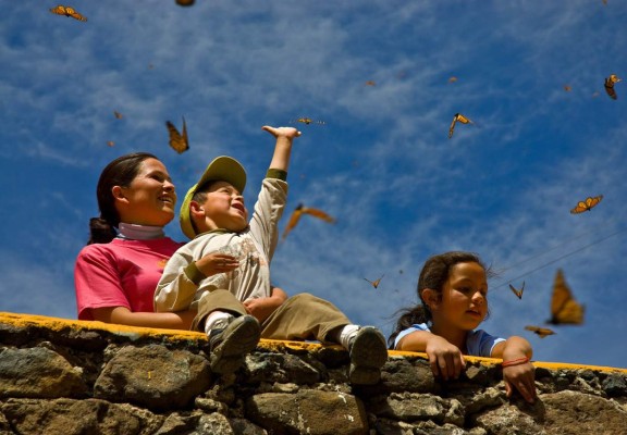 Un vuelo de color inigualable brindan las mariposas monarca