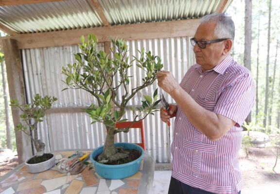 Jorge Yllescas: Del karate y el boxeo a los tijerazos del bonsái