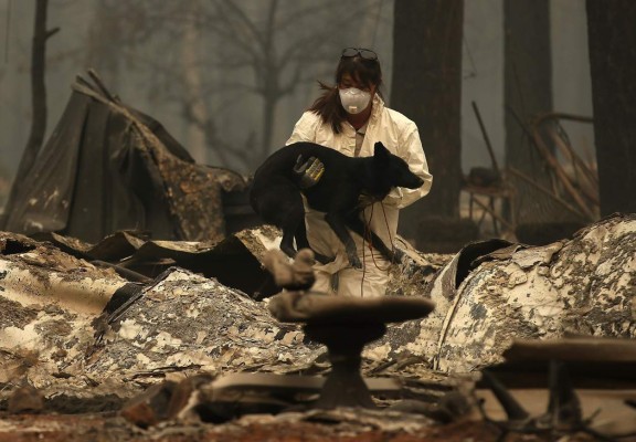 Desgarradoras imágenes de lo que quedó de Paradise, el pueblo en California que fue consumido por los incendios