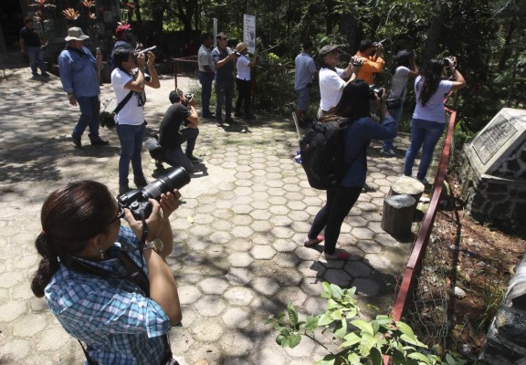 Realizan fotocaminata en el Rosy Walther