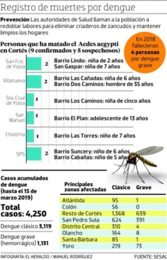 Honduras: El Aedes aegypti ya ha matado a nueve personas en Cortés