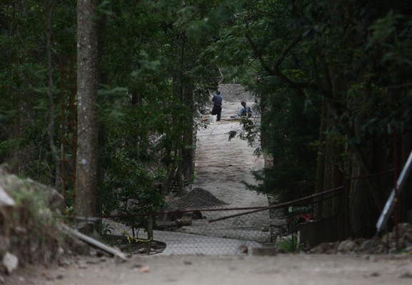 En proceso de transformación el zoológico Rosy Walther