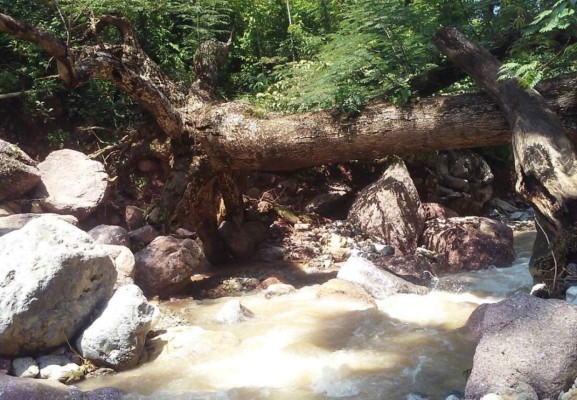 Se activa falla geológica en La Libertad, Comayagua