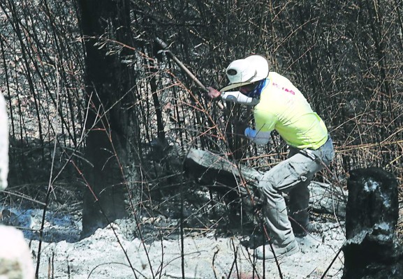 ¡Gracias por proteger a la madre naturaleza!