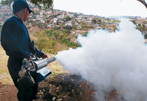 A doble jornada realizan operativos de fumigación