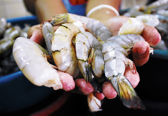 Zona sur afianza su poderío con las exportaciones agrícolas