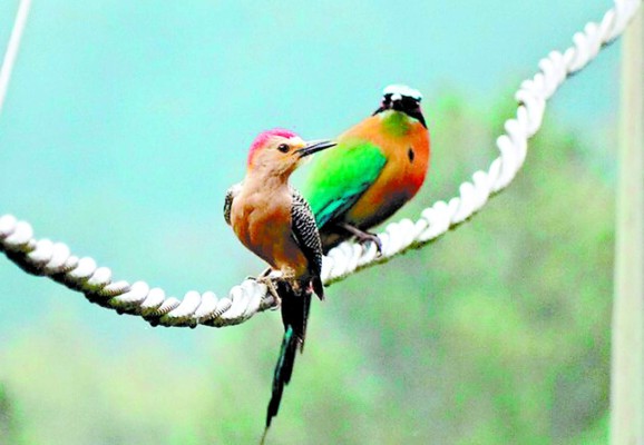Jardín Botánico El Carao, santuario de vida silvestre en La Libertad