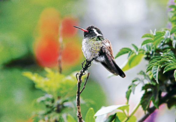 La Esperanza, un encuentro con la naturaleza