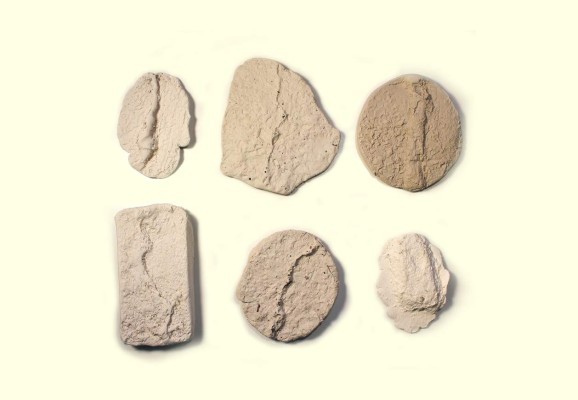 Medardo Cardona: La cartografía como memoria de la ciudad