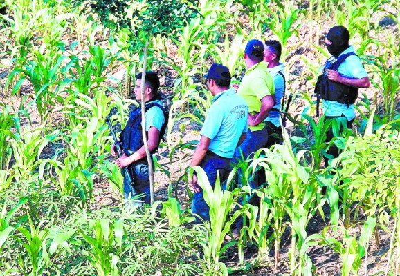 Encuentran dos cadáveres en cementerio clandestino de San Pedro Sula