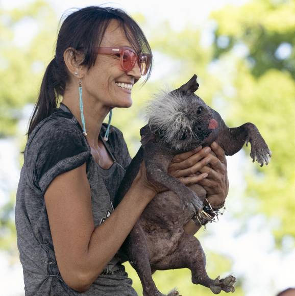 FOTOS: Mr. Happy Face, así es el perro más feo del mundo