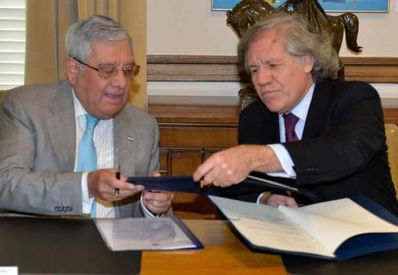 Leonidas Rosa Bautista: 'El comunicado de la OEA se debe al proceso de diálogo'