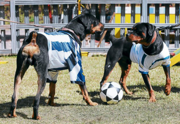 Final Olimpia-Victoria: ¡Esto se pone perro!