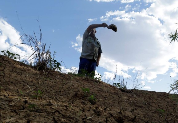 Cinco provincias de Sudáfrica en estado de catástrofe natural por intensa sequía&nbsp;&nbsp;
