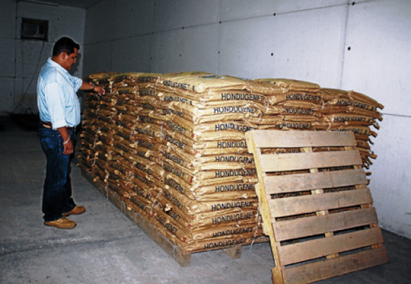 Agricultores a la espera del bono productivo en El Paraíso