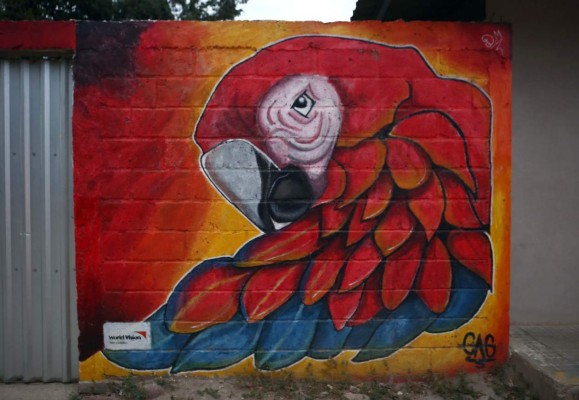 Morocelí se viste de colores para promover la paz