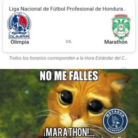 ¡Rugió el león! Los mejores memes que dejó el triunfo de Olimpia ante Marathón