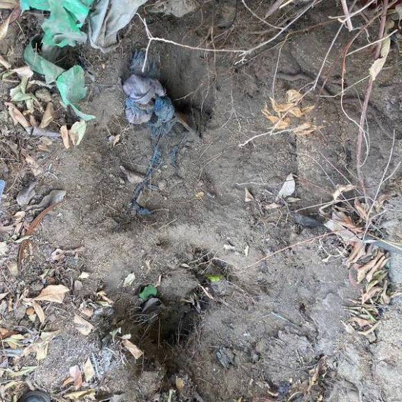 ¿Quiénes son las víctimas halladas en fosas clandestinas en Lomas del Carmen?