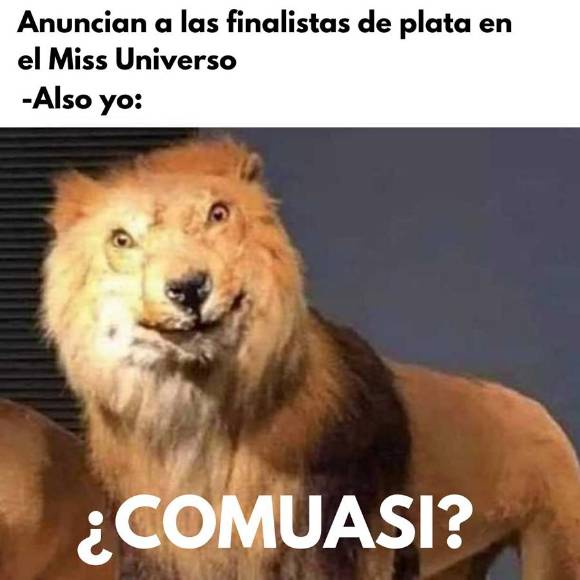 Finalistas de plata y la belleza de Zu Clemente, son virales en redes