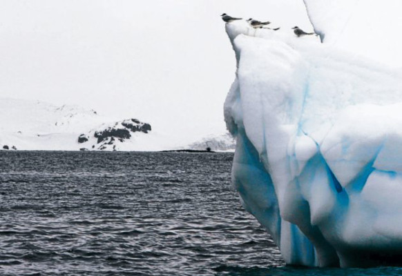 Argentinos en Antártida, la aventura de descubrir un mundo