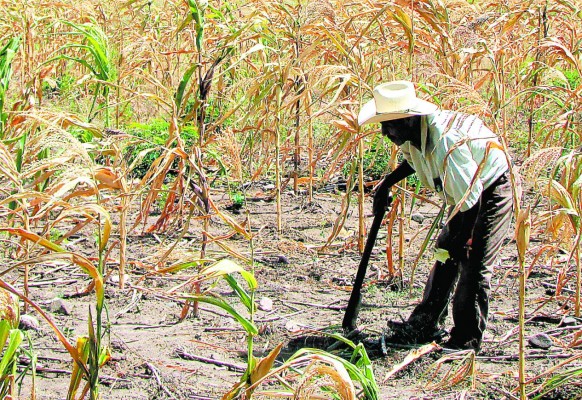 Falta de comida lleva a emigrar al 57% de centroamericanos