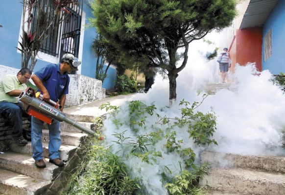 Disminuyen los casos de dengue
