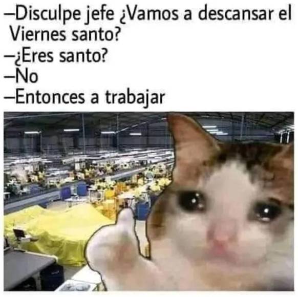 Inicia Semana Santa con los más divertidos memes de la temporada