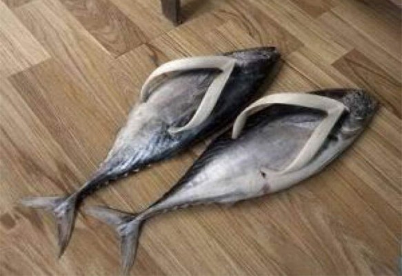 Insólitas imágenes