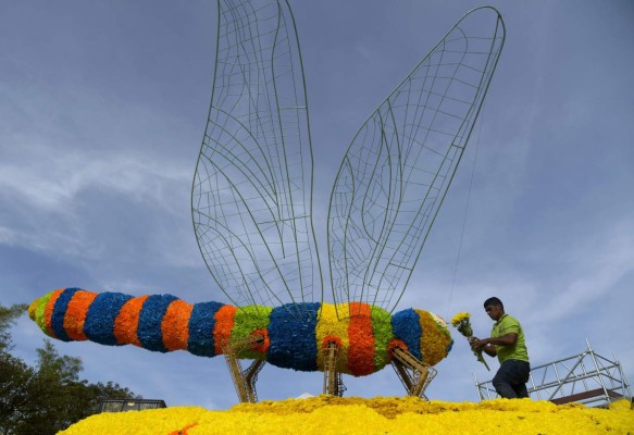 Medellín le rinde tributo a la naturaleza