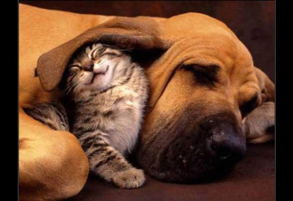 Insólitas imágenes