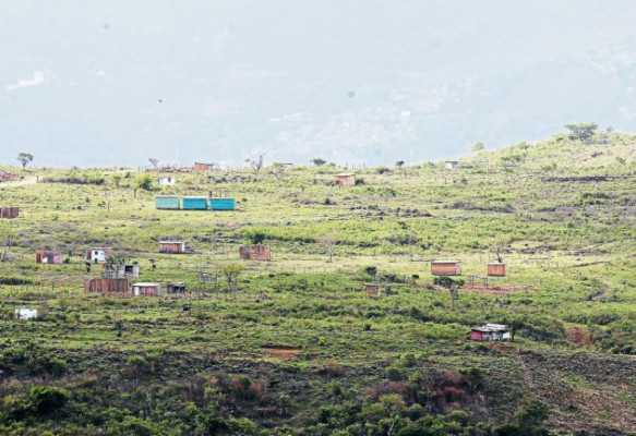 Regresan invasores de oficio a zona de Loarque