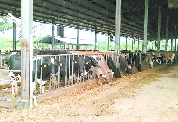 Honduras: Autoridades aseguran más residencias y un lujoso yate