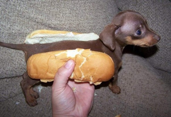 Insólitas imágenes