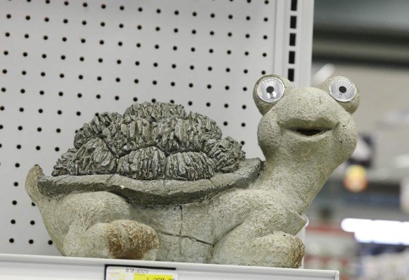 Llegaron las luciérnagas