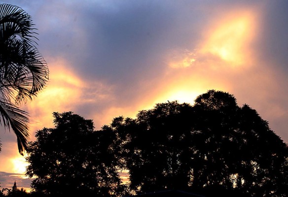 Las Fotos de la Semana en ElHeraldo.hn